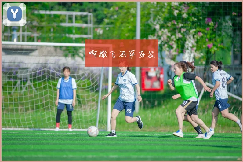 意甲升班马观察：黑马能否创造奇迹_20260522160747